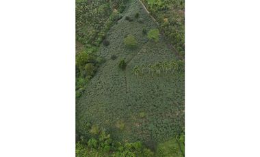 Lote rural en venta Montenegro Quindío