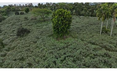 Lote rural en venta Montenegro Quindío