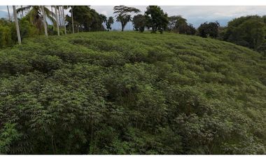 Lote rural en venta Montenegro Quindío