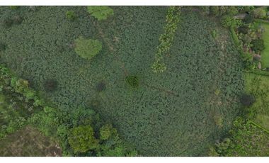 Lote rural en venta Montenegro Quindío