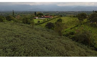 Lote rural en venta Montenegro Quindío