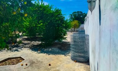 Terreno en venta, San Antonio Cinta, Mérida, Yucatán. En esquina, 1,130.50 m² (34.30m x 33.25m)