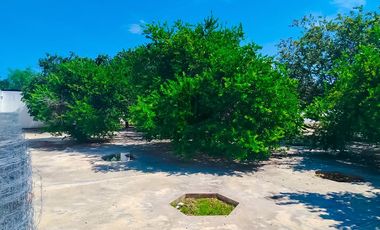 Terreno en venta, San Antonio Cinta, Mérida, Yucatán. En esquina, 1,130.50 m² (34.30m x 33.25m)