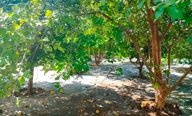 Terreno en venta, San Antonio Cinta, Mérida, Yucatán. En esquina, 1,130.50 m² (34.30m x 33.25m)