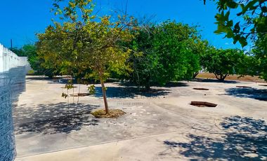 Terreno en venta, San Antonio Cinta, Mérida, Yucatán. En esquina, 1,130.50 m² (34.30m x 33.25m)