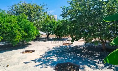 Terreno en venta, San Antonio Cinta, Mérida, Yucatán. En esquina, 1,130.50 m² (34.30m x 33.25m)