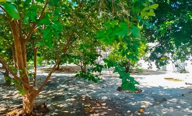 Terreno en venta, San Antonio Cinta, Mérida, Yucatán. En esquina, 1,130.50 m² (34.30m x 33.25m)