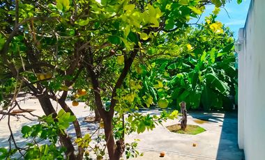 Terreno en venta, San Antonio Cinta, Mérida, Yucatán. En esquina, 1,130.50 m² (34.30m x 33.25m)