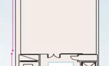 Local en Microcentro