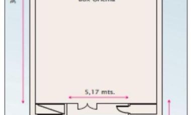 Local en Microcentro