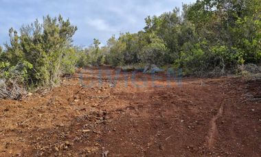 Parcela en venta en LINARES