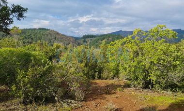 Parcela en venta en LINARES