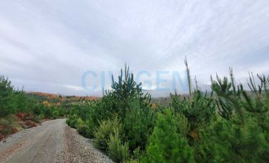 Parcela en venta en LINARES