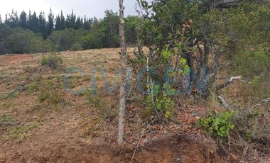 Parcela en venta en LINARES