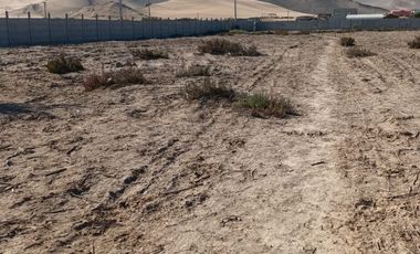 PARCELA EN ARRIENDO SECTOR PEAJE COPIAPO-CALDERA