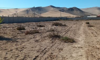PARCELA EN ARRIENDO SECTOR PEAJE COPIAPO-CALDERA