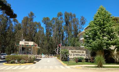 Algarrobo, cómodo departamento amoblado