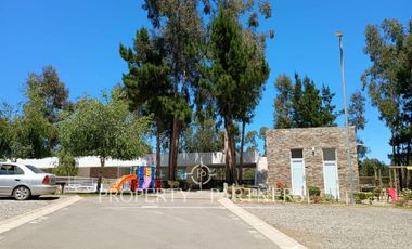 Algarrobo, cómodo departamento amoblado