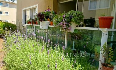 Algarrobo, cómodo departamento amoblado