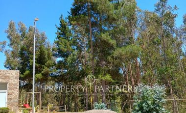 Algarrobo, cómodo departamento amoblado