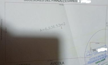 TERRENO EN VENTA HUITZILA HGO  6,936.53 m2 ( Escriturado )