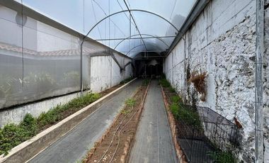 Casa en Fraccionamiento Real de Tetela