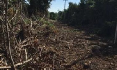 TERRENO FRACC. ALAMOS II CANCÚN SUP. 3,307 MTS