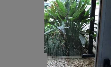 Alquiler temporal casa Club de Campo Los Pingüinos