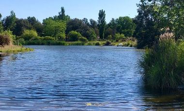 Único Terreno a la laguna - La Arbolada de Capilla
