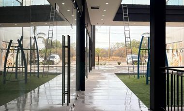 Locales comerciales en preventa al Norte Aguascalientes Eugenio Garza Sada