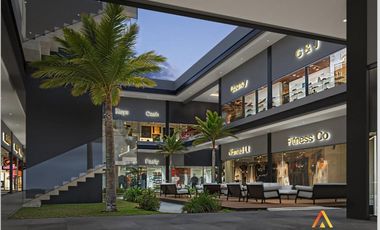 Locales comerciales en preventa al Norte Aguascalientes Eugenio Garza Sada