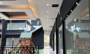 Locales comerciales en preventa al Norte Aguascalientes Eugenio Garza Sada
