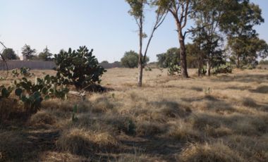 TERRENO LA POSTA,TIZAYUCA HIDALGO SUP. 4.5 HECTÁREAS