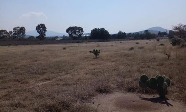 TERRENO LA POSTA,TIZAYUCA HIDALGO SUP. 4.5 HECTÁREAS