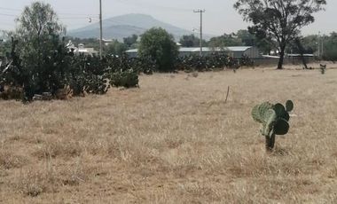 TERRENO LA POSTA,TIZAYUCA HIDALGO SUP. 4.5 HECTÁREAS