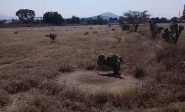 TERRENO LA POSTA,TIZAYUCA HIDALGO SUP. 4.5 HECTÁREAS