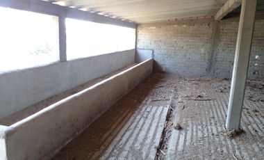 TERRENO LA POSTA,TIZAYUCA HIDALGO SUP. 4.5 HECTÁREAS