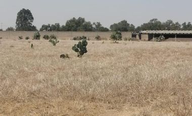 TERRENO LA POSTA,TIZAYUCA HIDALGO SUP. 4.5 HECTÁREAS