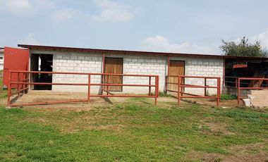 VENTA RANCHOS HIDALGO 5 HAS NOPALA DE VILLAGRAN  AA