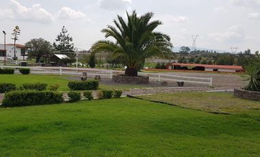 VENTA RANCHOS HIDALGO 5 HAS NOPALA DE VILLAGRAN  AA