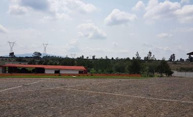 VENTA RANCHOS HIDALGO 5 HAS NOPALA DE VILLAGRAN  AA