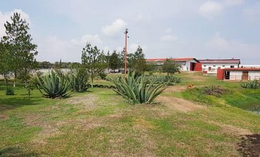 VENTA RANCHOS HIDALGO 5 HAS NOPALA DE VILLAGRAN  AA