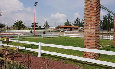 VENTA RANCHOS HIDALGO 5 HAS NOPALA DE VILLAGRAN  AA