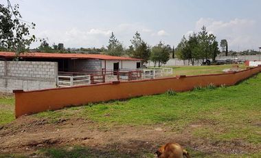 VENTA RANCHOS HIDALGO 5 HAS NOPALA DE VILLAGRAN  AA