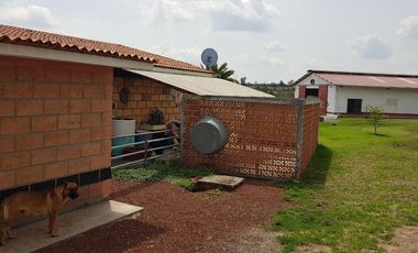 VENTA RANCHOS HIDALGO 5 HAS NOPALA DE VILLAGRAN  AA