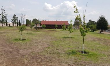 VENTA RANCHOS HIDALGO 5 HAS NOPALA DE VILLAGRAN  AA