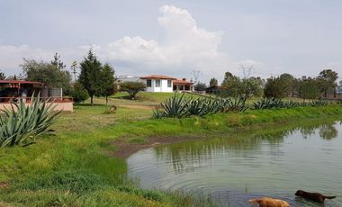 VENTA RANCHOS HIDALGO 5 HAS NOPALA DE VILLAGRAN  AA
