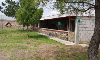 VENTA RANCHOS HIDALGO 5 HAS NOPALA DE VILLAGRAN  AA