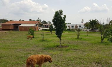 VENTA RANCHOS HIDALGO 5 HAS NOPALA DE VILLAGRAN  AA