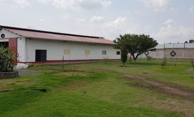 VENTA RANCHOS HIDALGO 5 HAS NOPALA DE VILLAGRAN  AA